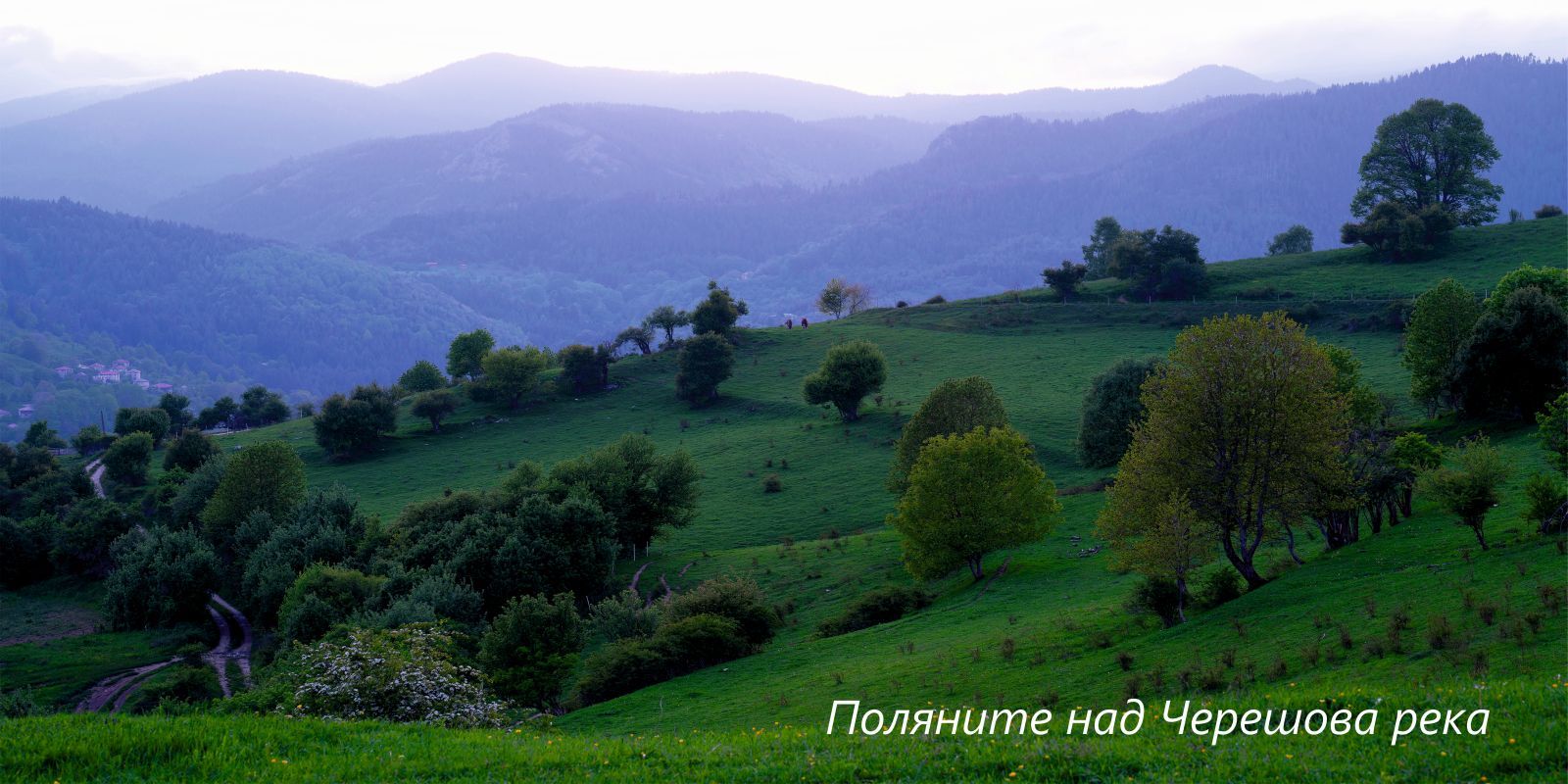 Панорама към Западните Родопи